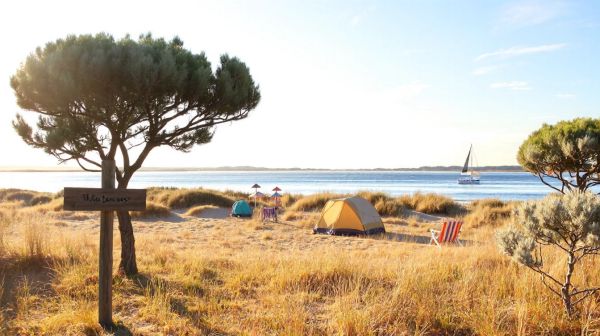 Top campings sur l'île de Ré pour des vacances inoubliables