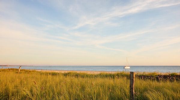 Top campings sur l'île de Ré pour des vacances inoubliables